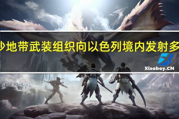 加沙地带武装组织向以色列境内发射多枚火箭弹