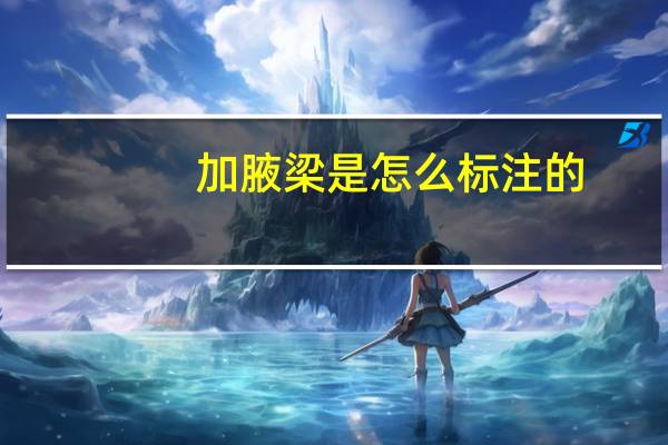 加腋梁是怎么标注的