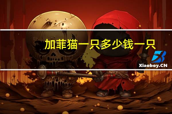加菲猫一只多少钱一只