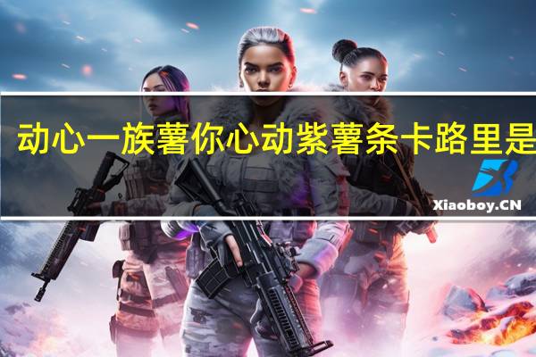 动心一族 薯你心动紫薯条卡路里是多少