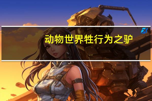 动物世界牲行为之驴（动物世界性行为马驴）