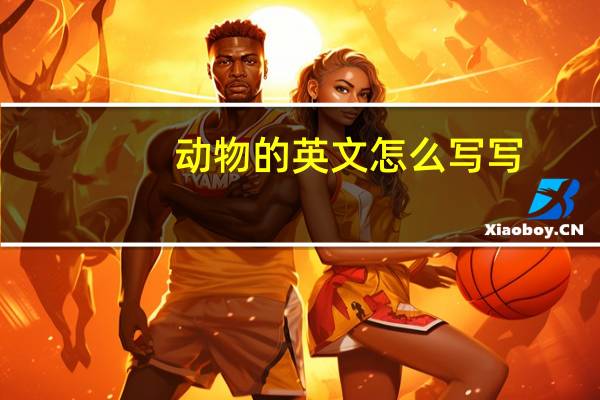 动物的英文怎么写写