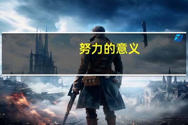 努力的意义