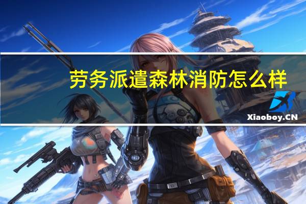 劳务派遣森林消防怎么样