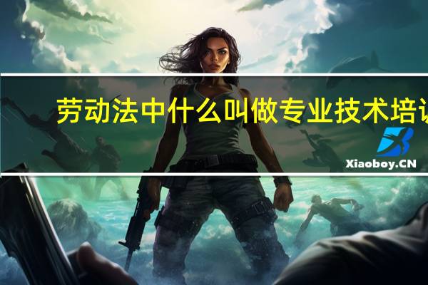 劳动法中什么叫做专业技术培训
