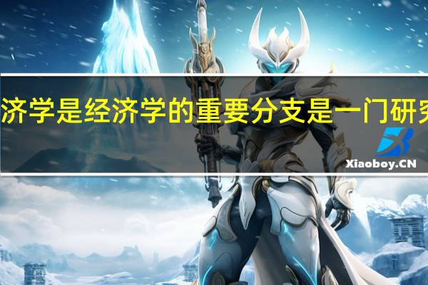 劳动经济学是经济学的重要分支是一门研究什么的学问