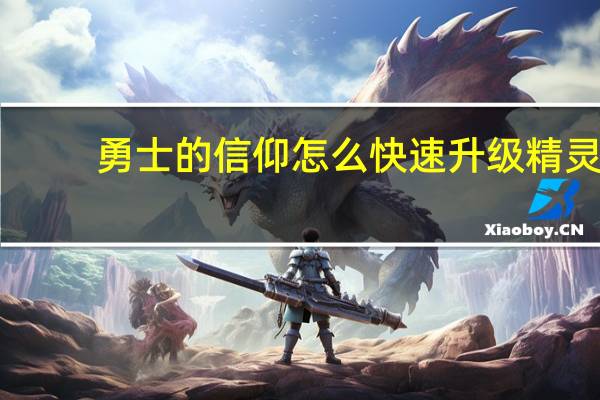 勇士的信仰怎么快速升级精灵（勇士的信仰怎么捕捉精灵）