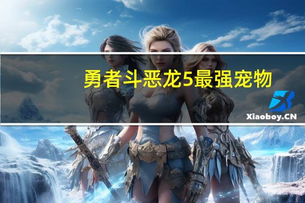 勇者斗恶龙5最强宠物