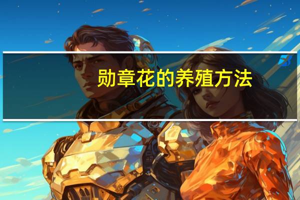 勋章花的养殖方法