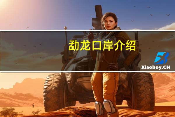 勐龙口岸介绍