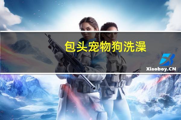 包头宠物狗洗澡