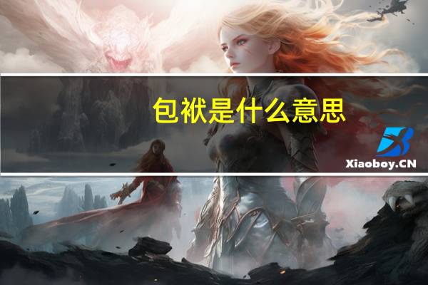 包袱是什么意思