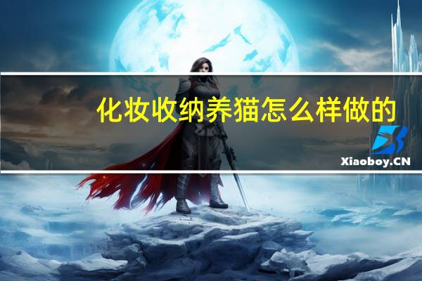 化妆收纳养猫怎么样做的