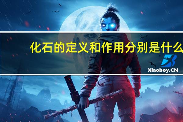 化石的定义和作用分别是什么（化石的定义）