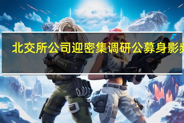 北交所公司迎密集调研 公募身影频现