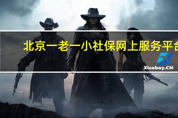 北京一老一小社保网上服务平台（北京一老一小保险网上服务平台）