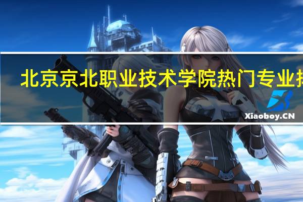 北京京北职业技术学院热门专业排名