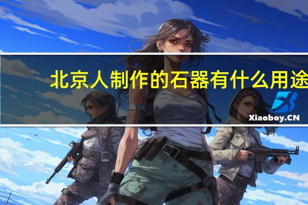北京人制作的石器有什么用途