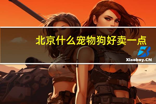 北京什么宠物狗好卖一点