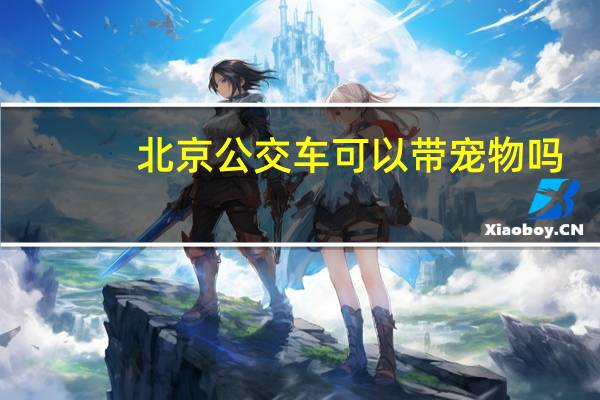 北京公交车可以带宠物吗