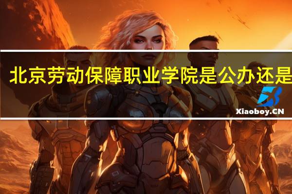 北京劳动保障职业学院是公办还是民办