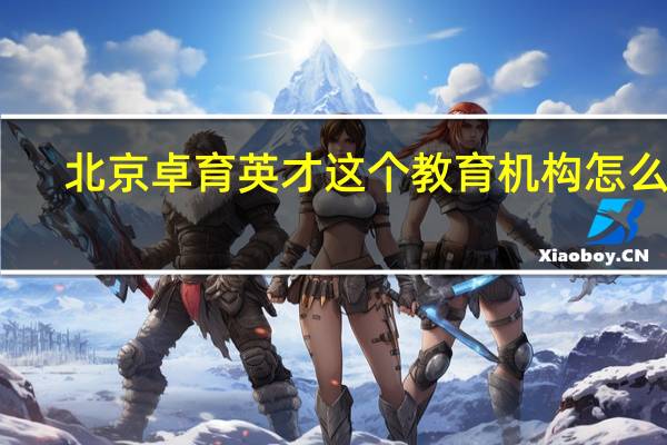 北京卓育英才这个教育机构怎么样