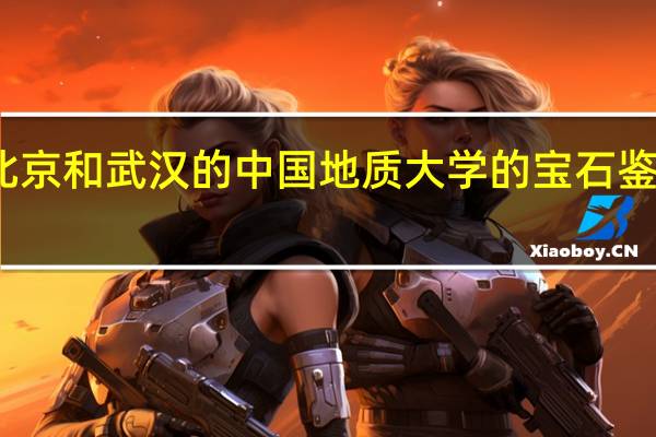 北京和武汉的中国地质大学的宝石鉴定专业，哪个更好