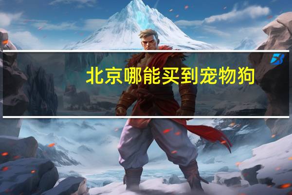 北京哪能买到宠物狗