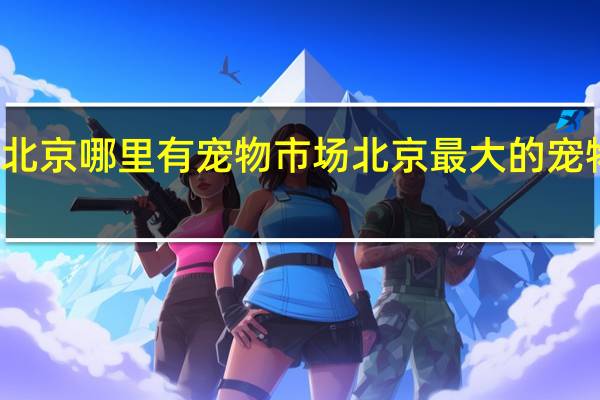 北京哪里有宠物市场 北京最大的宠物市场