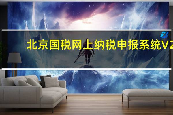 北京国税网上纳税申报系统 V2.0 官方正式版（北京国税网上纳税申报系统 V2.0 官方正式版功能简介）