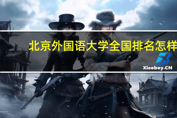 北京外国语大学全国排名怎样