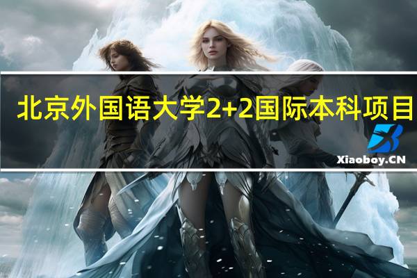 北京外国语大学2+2国际本科项目推荐