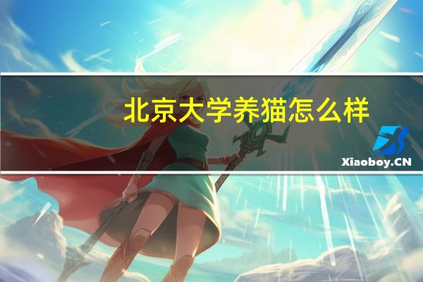 北京大学养猫怎么样
