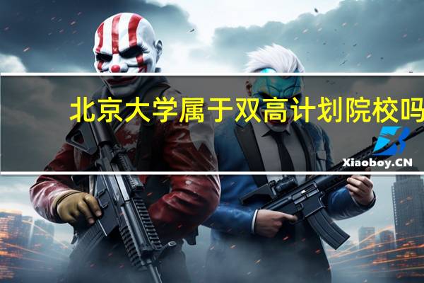 北京大学属于双高计划院校吗