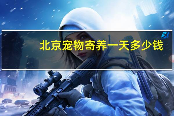 北京宠物寄养一天多少钱