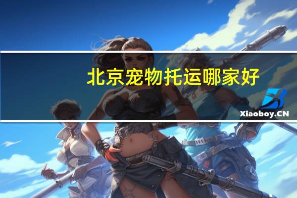 北京宠物托运哪家好