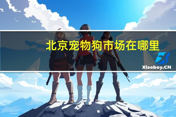 北京宠物狗市场在哪里