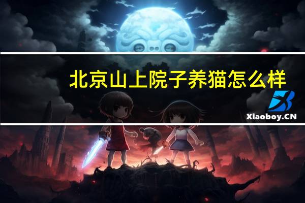 北京山上院子养猫怎么样