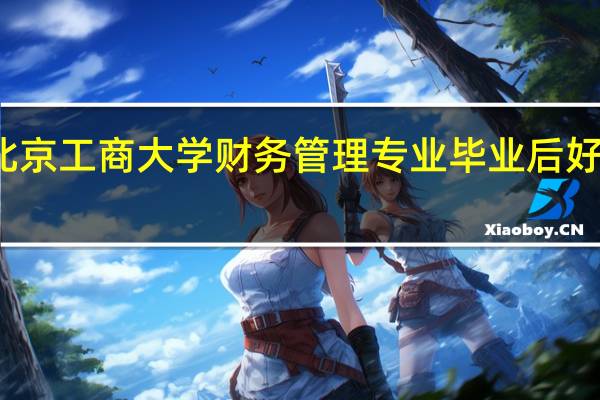 北京工商大学财务管理专业毕业后好就业吗