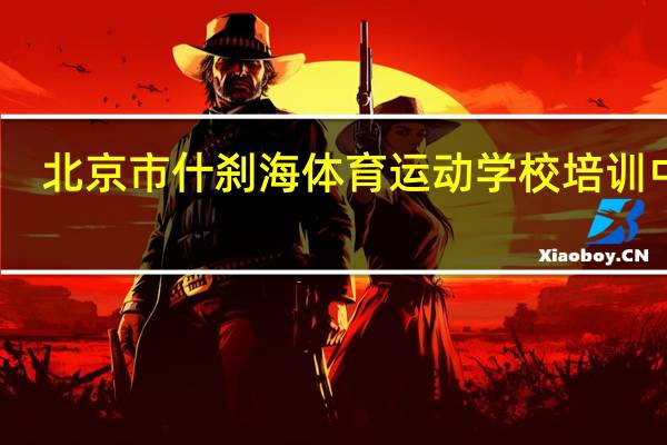 北京市什刹海体育运动学校培训中心