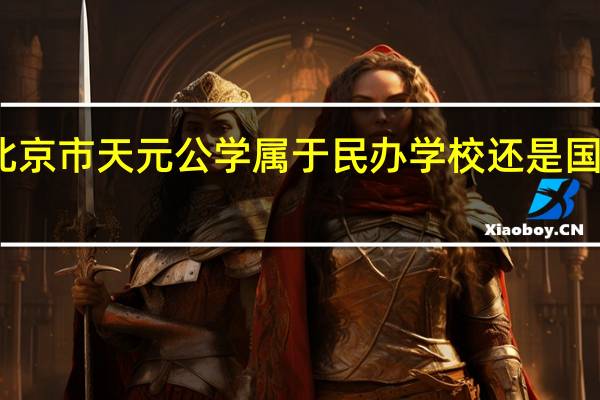 北京市天元公学属于民办学校还是国办的啊