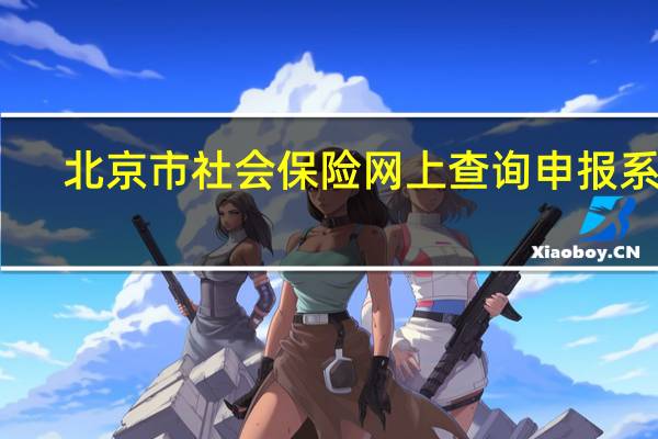 北京市社会保险网上查询申报系统（北京社保网上申报查询系统）