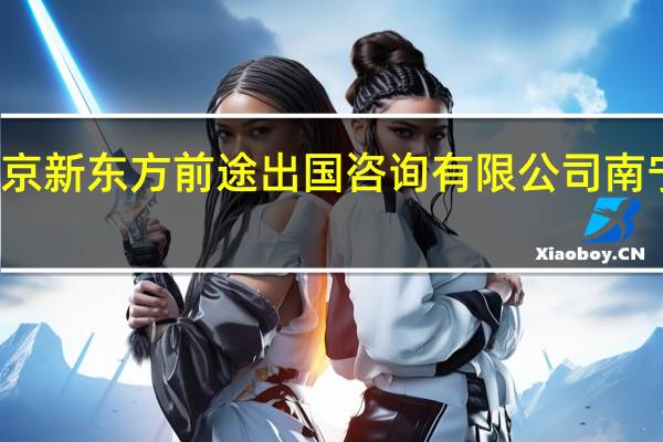 北京新东方前途出国咨询有限公司南宁分公司（北京新东方前途出国咨询有限公司）