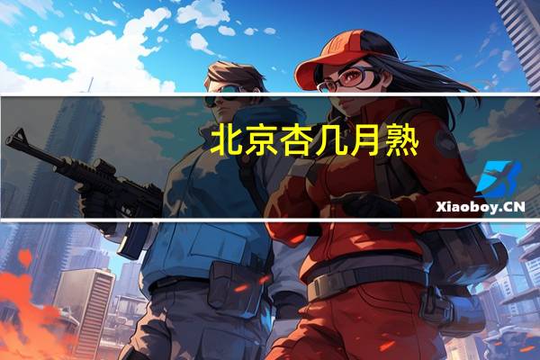 北京杏几月熟