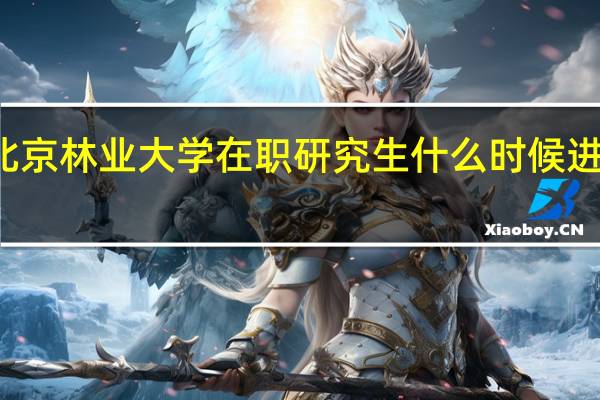 北京林业大学在职研究生什么时候进行报名