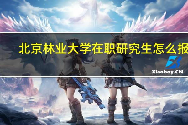 北京林业大学在职研究生怎么报考