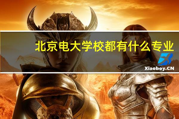 北京电大学校都有什么专业。