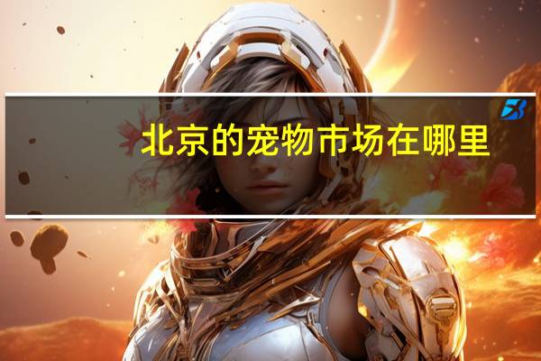 北京的宠物市场在哪里