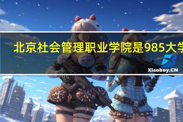 北京社会管理职业学院是985大学吗