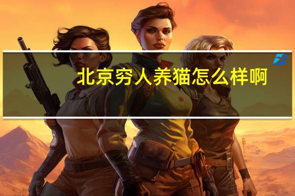 北京穷人养猫怎么样啊